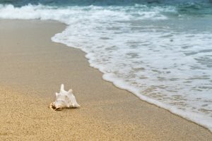 Strand Schiermonnikoog